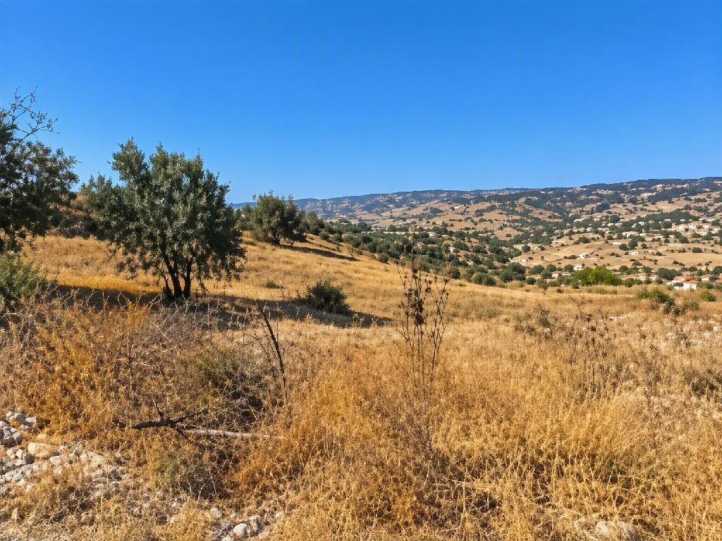 Psathi, Paphos Agricultural Land For Sale | DT5516