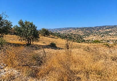 Psathi, Paphos Agricultural Land For Sale | DT5516
