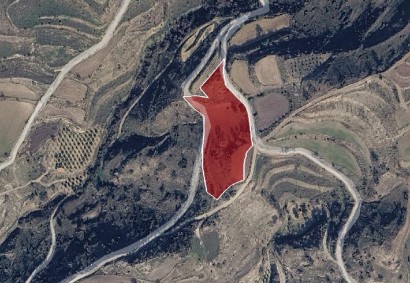 Psathi, Paphos Agricultural Land For Sale | DT5516
