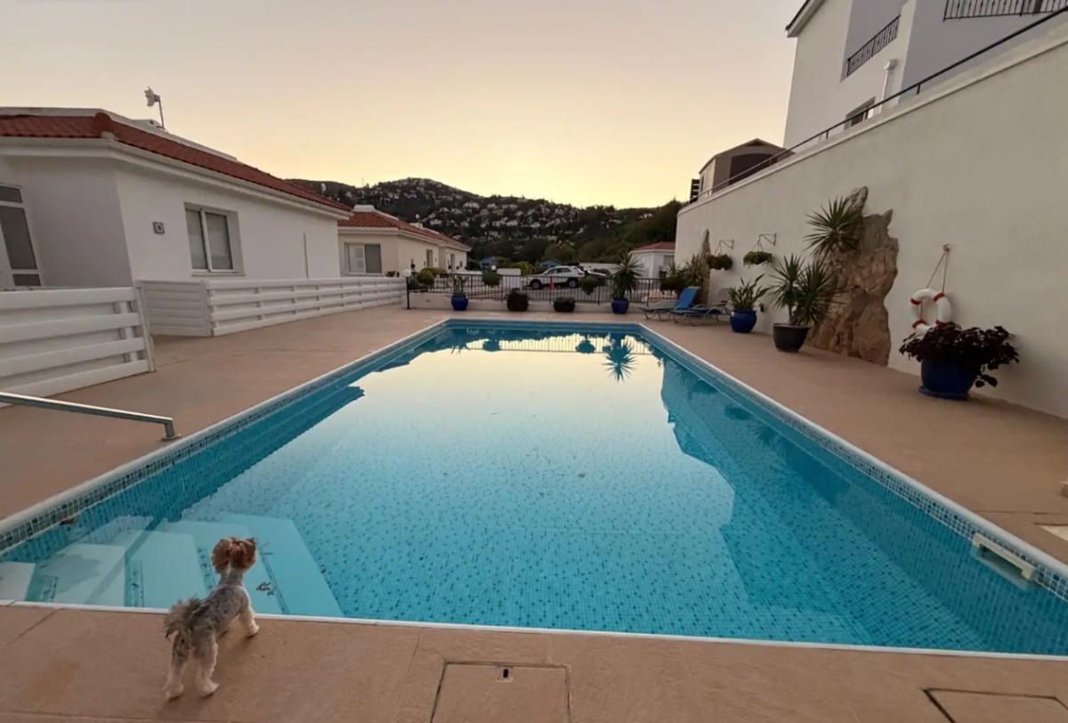 Apartment For Sale  in  Tala
