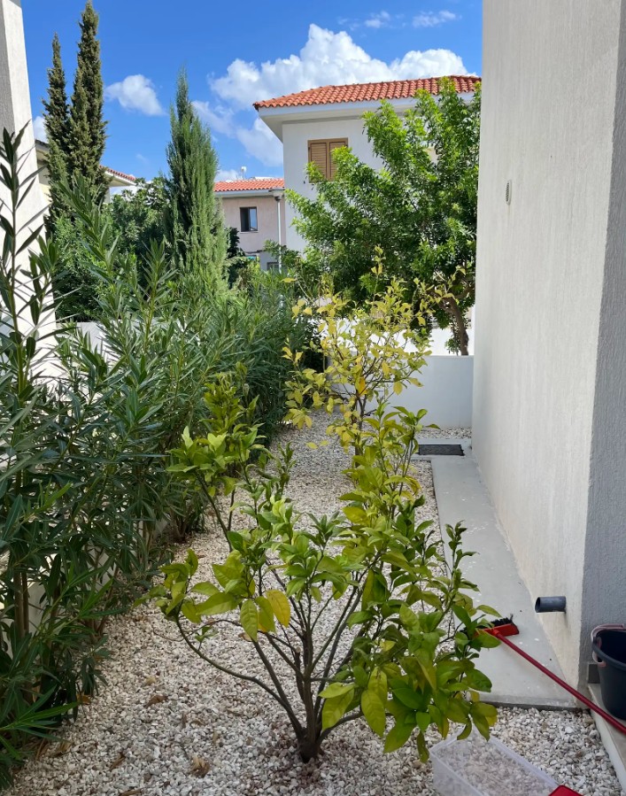 Detached Villa For Sale  in  Kato Paphos - Universal