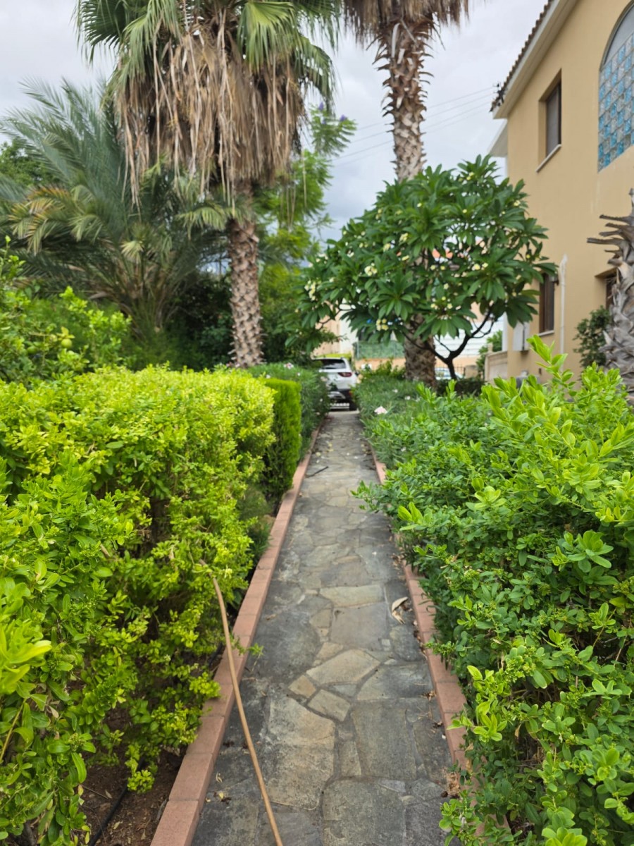 Detached Villa For Rent  in  Peyia