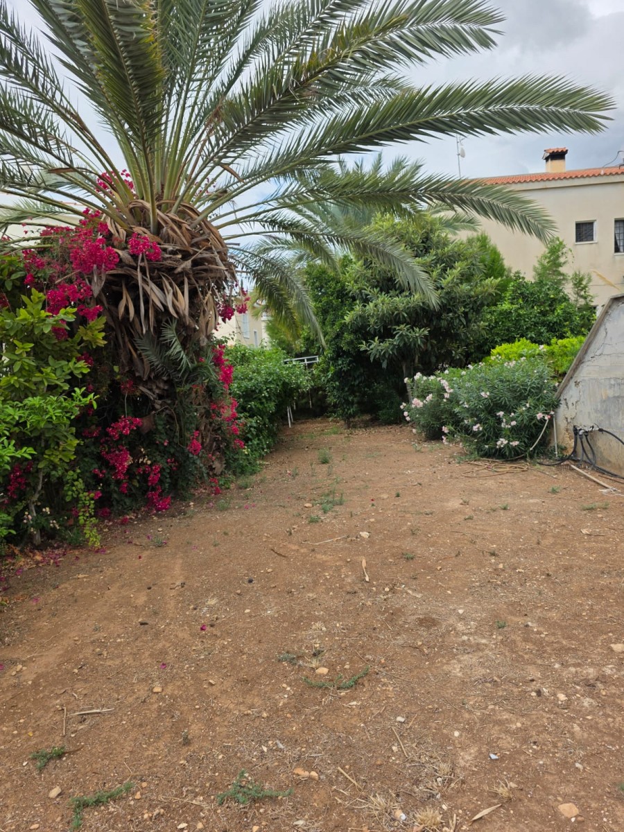 Detached Villa For Rent  in  Peyia
