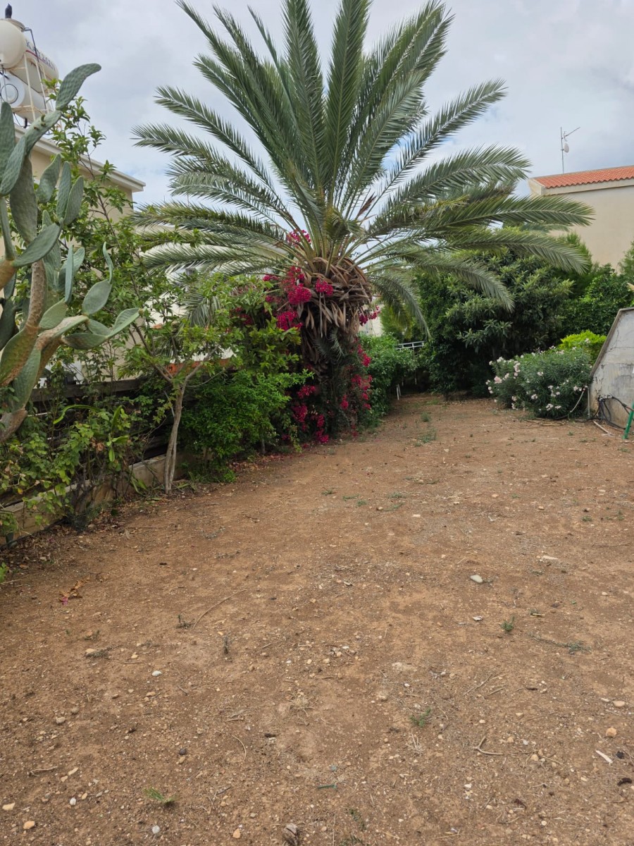 Detached Villa For Rent  in  Peyia
