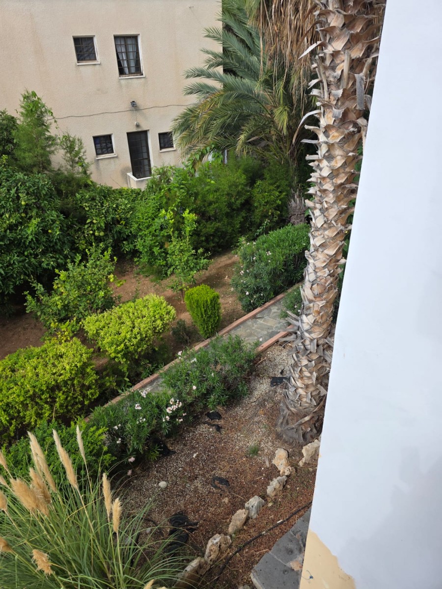Detached Villa For Rent  in  Peyia
