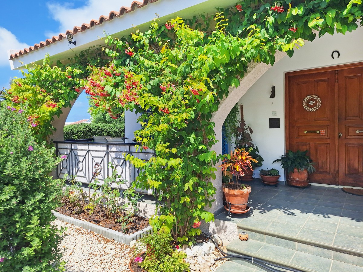 Bungalow For Sale  in  Kissonerga